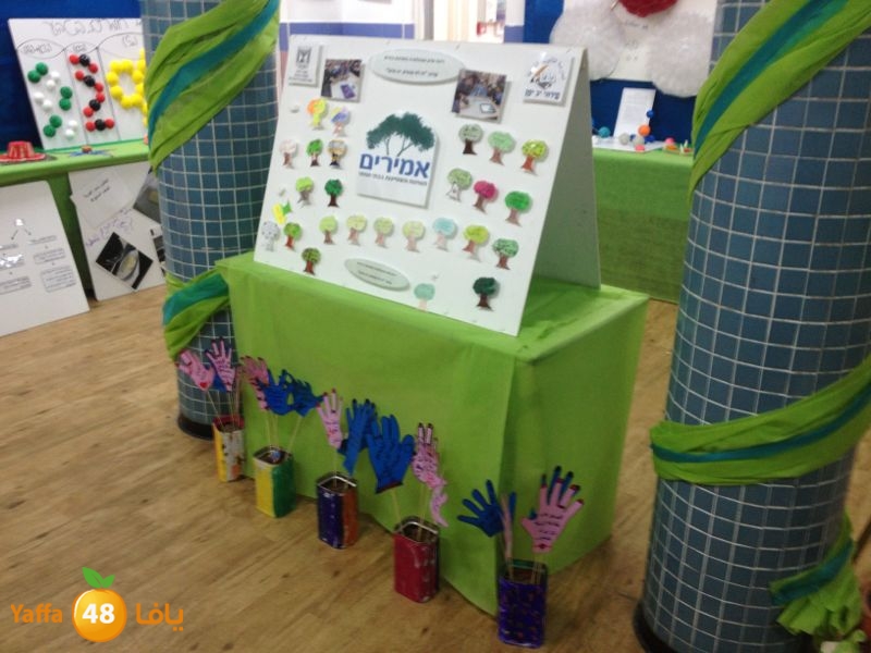 chemstery shamlea (8).jpg